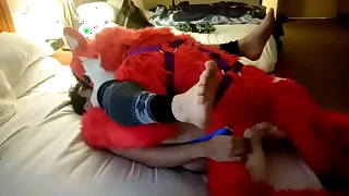 256 furry porn videos